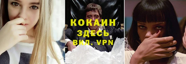 тгк Дмитровск