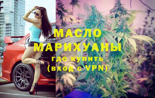 тгк Дмитровск