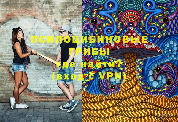 скорость Ельня