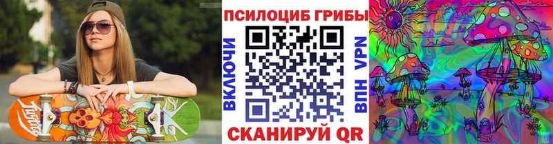 Псилоцибиновые грибы Psilocybe  Усть-Кут 