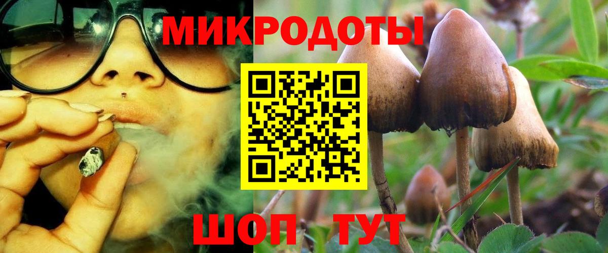 Псилоцибиновые грибы Magic Shrooms  Вход с VPN  Усть-Кут 