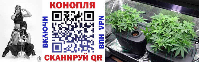 Шишки марихуана White Widow Усть-Кут